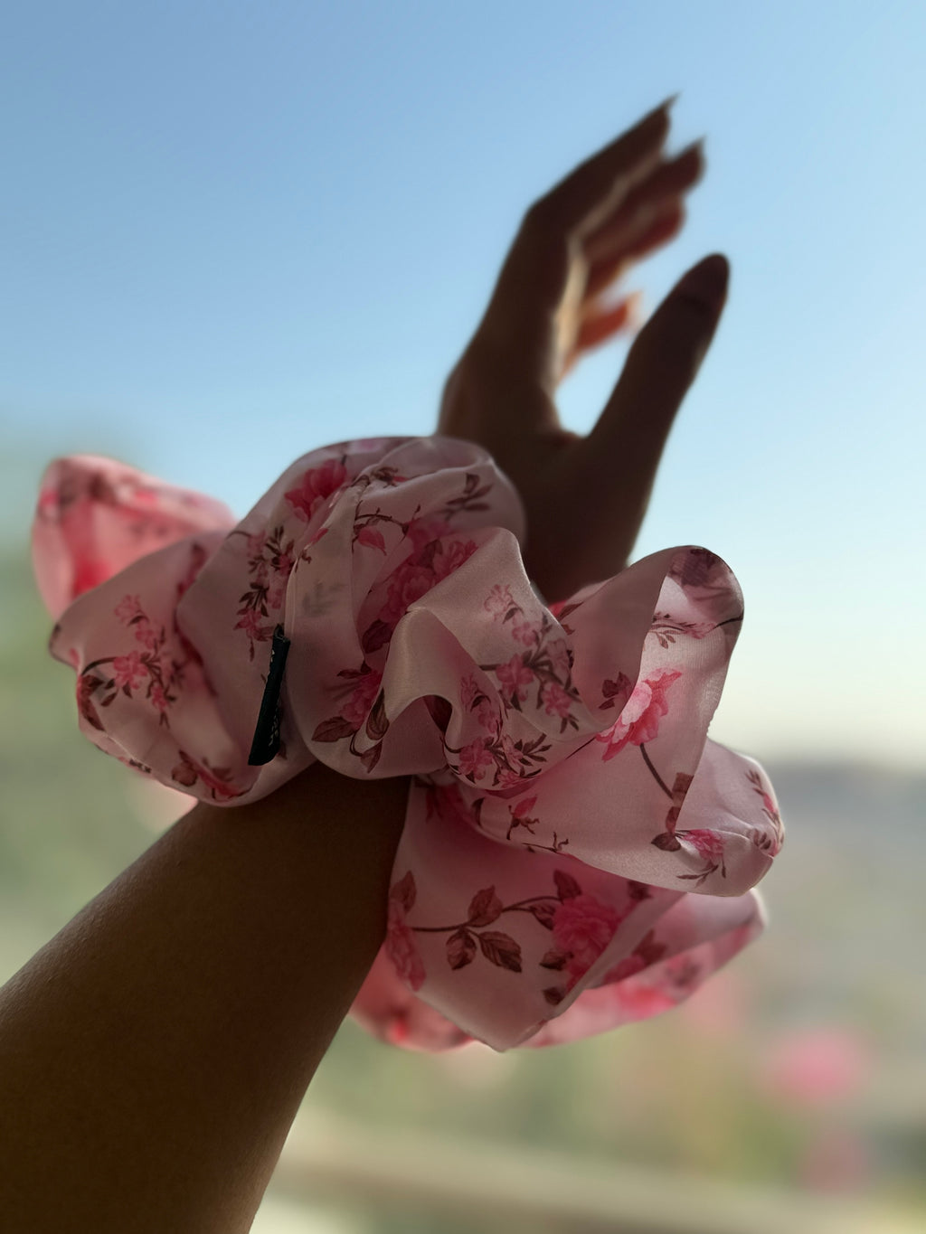 Pink Rose